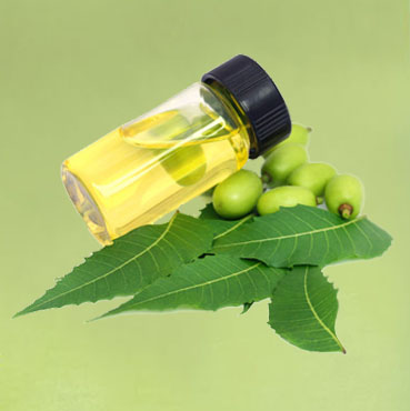 Neem Oil Manufacturers